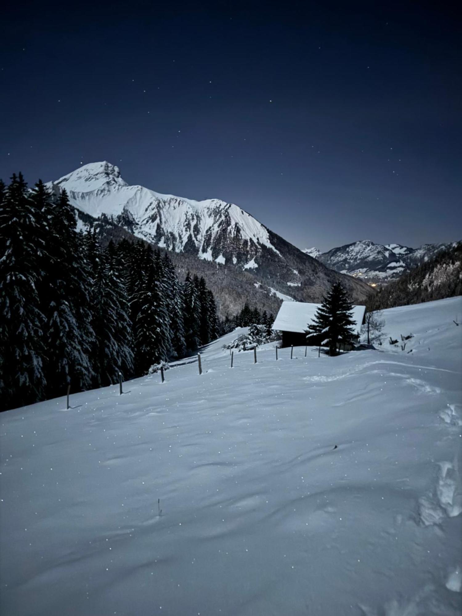 Charming, Cosy Chalet Nestled In A Breathtaking Surrounding With Spectacular, Stunning Mountain Views Abondance Exterior foto